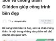 Báo tuổi trẻ đưa tin về Sơn Gildden